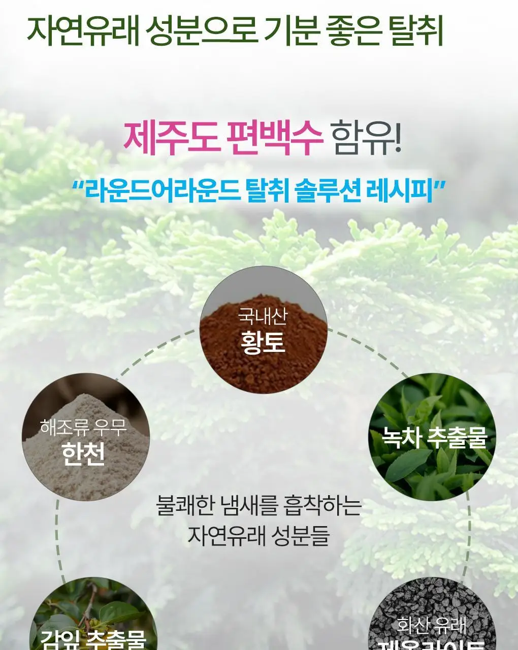 [NEW신상] 라운드어라운드 편백 클린 고체 탈취제 300g 2종 상세페이지 7